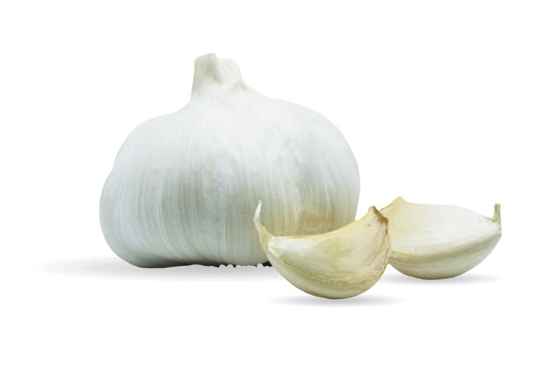 White Spring Garlic - The Top Garlic